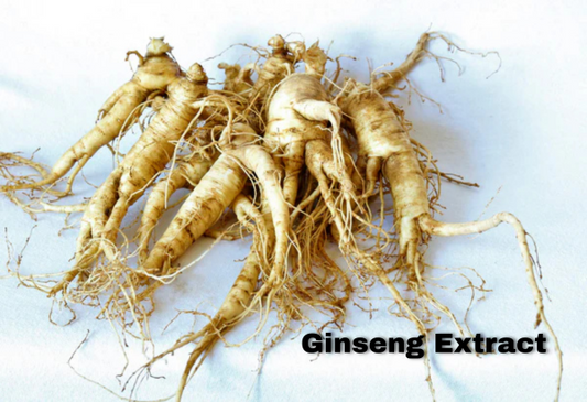 Can Ginseng Improve Male Sexual Health? Exploring the Role of Panax Ginseng in Erectile Dysfunction
