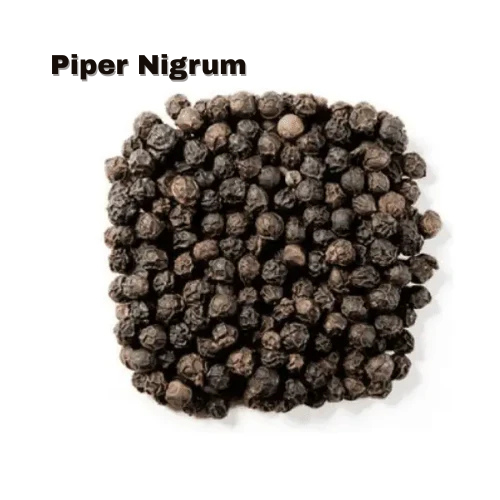 Black Pepper (Piper nigrum) and Its Promising Role in Male Sexual Health