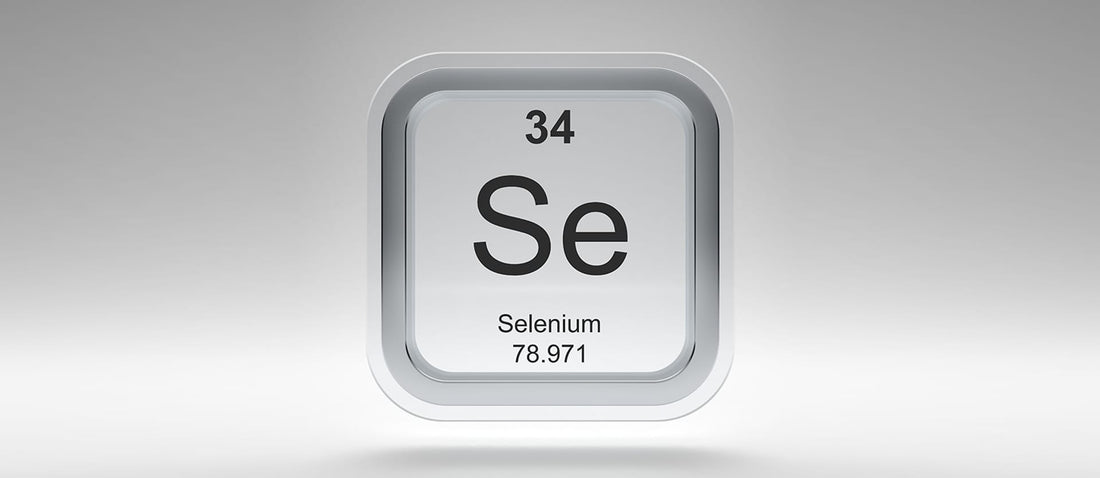Selenium and Male Sexual Health: How This Powerful Mineral Boosts Fertility and Sperm Quality